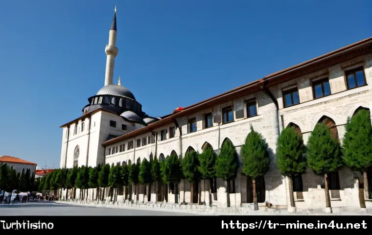 Minecraft’ta Nadir Yaratıkları Bulma Rehberi: Biyomlar, Yapılar ve Sunucu Seçimi 4 마인크래프트 희귀 몹 서식지 관련 이미지 2